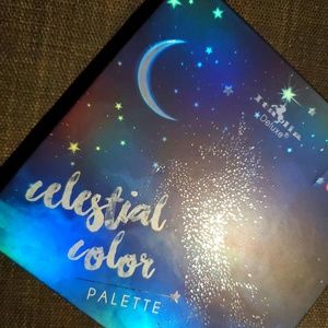 Glitter eyeshadows palette makeup